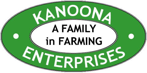 Kanoona Enterprises logo
